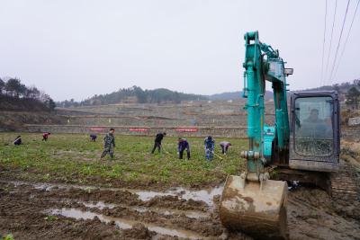 岩河岭村：土地“活”起来  农民“富”起来