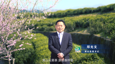 3月18日网络开园节不见不散   英山县委书记邀您共“尝”云雾茶！