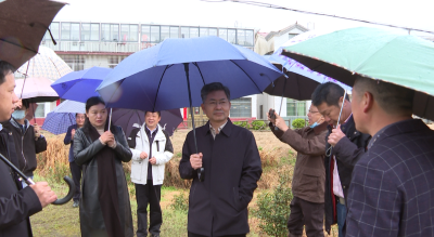 李初敏到我县调研长征国家文化公园、毕昇纪念园项目建设并开展巡林工作