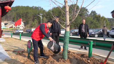 郑光文带领“四大家”领导参加义务植树活动