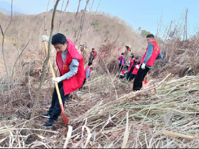 张家咀国家湿地公园管理局参加义务植树活动 