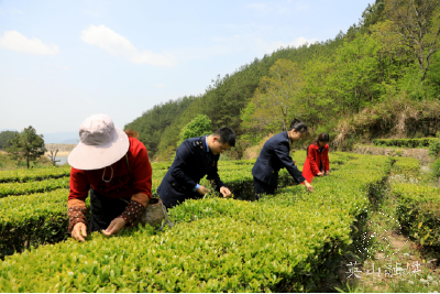 英山县税务局开展税收助力乡村振兴宣传活动