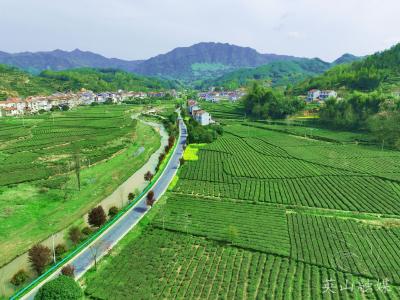 英山这条路上榜全省“十大最美农村路”