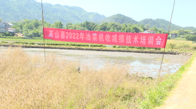 县农业农村局多举措促油菜机收减损
