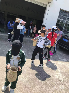 别样的“五一”  小小“茶农” 采茶忙