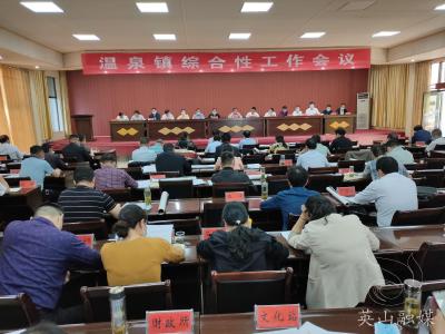 温泉镇召开综合性工作会议