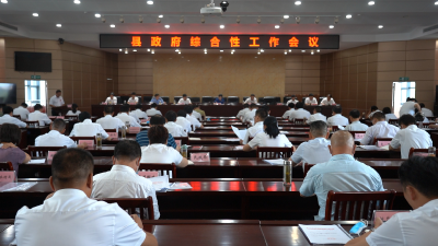 县政府综合性工作会议召开
