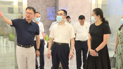 省卫健委杨承礼来我县开展专题视察