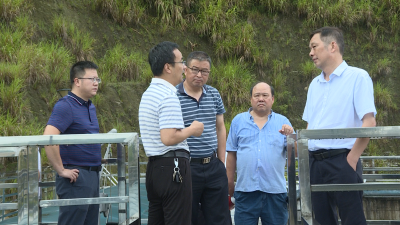 黄强胤带队来我县调研重点建议办理和环保法执法检查整改工作