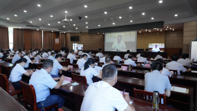 我县组织收听收看全市政府系统第一次廉政工作暨国家统计督察反馈意见整改工作会议 