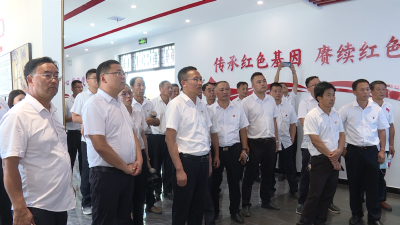 杨柳湾镇开展庆祝建党101周年主题活动
