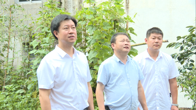 【快讯】周锋到孔家坊乡开展下基层察民情解民忧暖民心实践活动