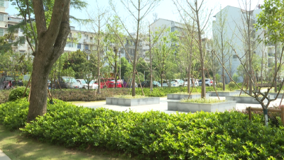 提案追踪：加快两河口区域治理 全力提升城市颜值