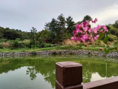 小微景观村村有  水畅景美人幸福