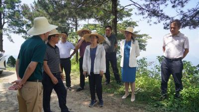 王海霞调研长征国家文化公园英山园区项目建设情况