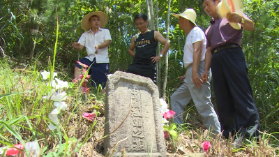 陶家河乡陆续发现无名烈士墓葬群