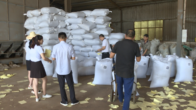 湖北大广茶业集团首批160吨红茶出口俄罗斯