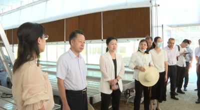省稳住经济大盘服务督导组来我县督导指导 