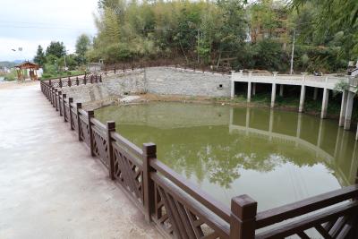 【下基层察民情解民忧暖民心】党建引领乡村建设 莲花村人居环境大变样
