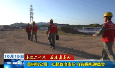 【喜迎二十大 奋进看英山】县供电公司：扛起政治责任 守岗保电迎盛会