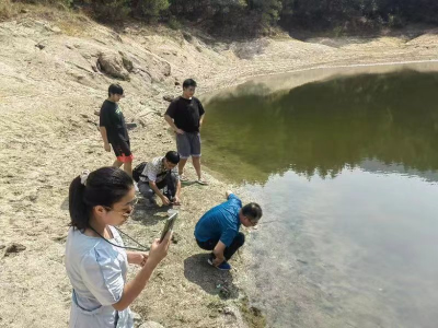 罕见! 英山首次发现“水中大熊猫”——桃花水母
