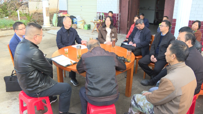 【深入学习宣传贯彻党的二十大精神】卢峰到程家咀村传达学习党的二十大精神