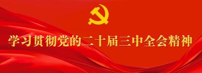 【学习贯彻党的二十届三中全会精神】加快培育完整内需体系主要有哪些要求？