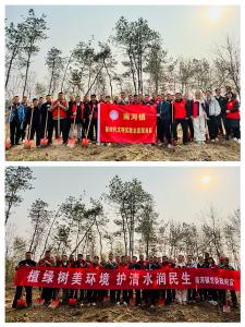 南河镇组织开展“迎新春植树造林”活动