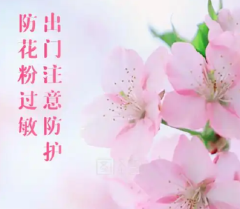 如何预防花粉过敏