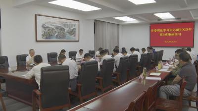 【快讯】县委理论学习中心组开展2025年第6次集体学习