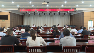 全县新兴领域党建工作座谈会暨党建引领基层治理协调机制会议召开