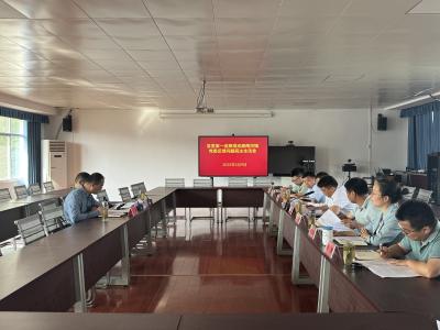 凝聚共识谋发展，重整行装再出发 ——南河镇党委召开巡察整改专题民主生活会