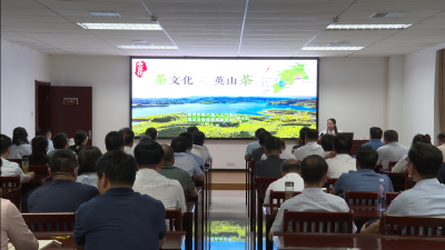 【引客入英·遇见毕昇】黄冈市委党校培训班学员来我县开展教育培训