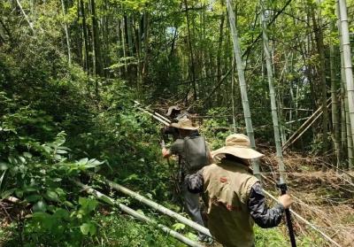英山“四普”新发现文物点105处