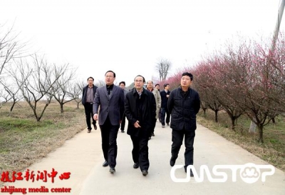 精心筹备第16届三峡•枝江桃花艺术节