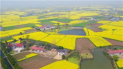 问安关庙山乡土文化节即将开幕