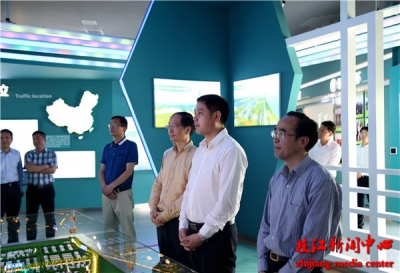 张家胜在枝江调研时强调 转型升级扩优势 争先进位走前列