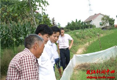 市委副书记黄芳帅到安福寺镇罐头嘴村检查精准扶贫工作