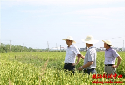 市委书记刘丰雷调研抗旱救灾工作