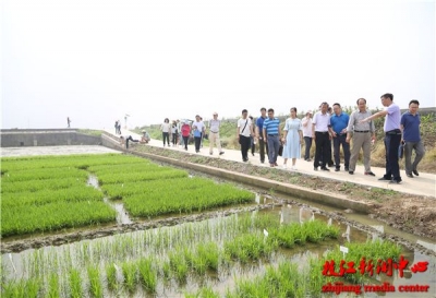 枝江实现油菜生产全程机械化