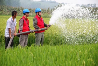 枝江旱情加剧 水利工程大显神威