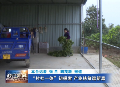 仙女镇| “村社一体”初探索 产业扶贫谱新篇