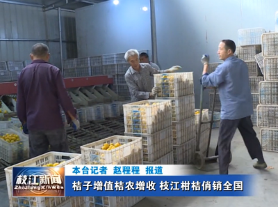 桔子增值桔农增收  枝江柑桔俏销全国