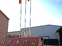 我市柑桔采摘销售进入高峰