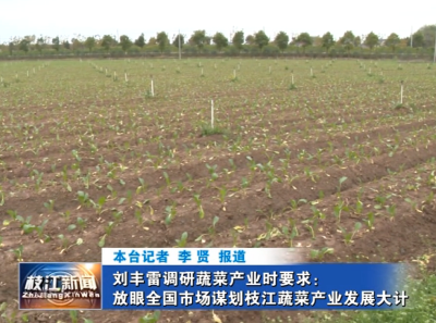 刘丰雷调研蔬菜产业时要求：放眼全国市场谋划枝江蔬菜产业发展大计