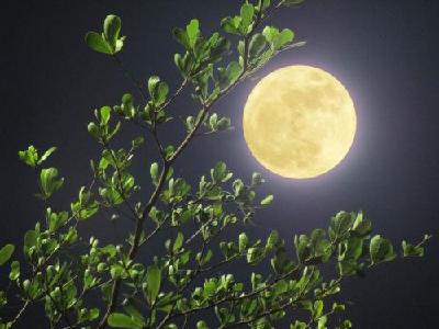 外婆的月亮歌