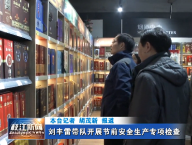 刘丰雷带队开展节前安全生产专项检查
