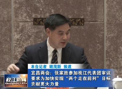 宜昌两会 I 张家胜参加枝江代表团审议 
要求为加快实现“两个走在前列”目标贡献更大力量