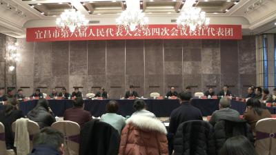 宜昌两会 I 张家胜参加枝江代表团审议  要求为加快实现“两个走在前列”目标贡献更大力量