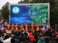 “春贺美丽神州，福满田园枝江” 元宵节群众文化活动正精彩上演